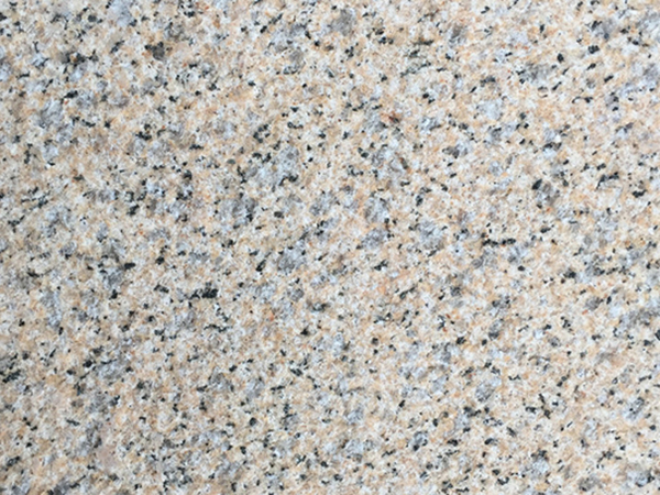 �S����늽���֦��