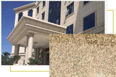 �����S����